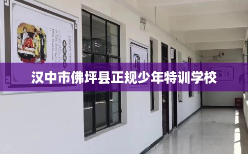 汉中市佛坪县正规少年特训学校