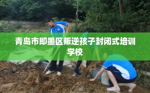 青岛市即墨区叛逆孩子封闭式培训学校 青岛市即墨区叛逆孩子封闭式培训学校