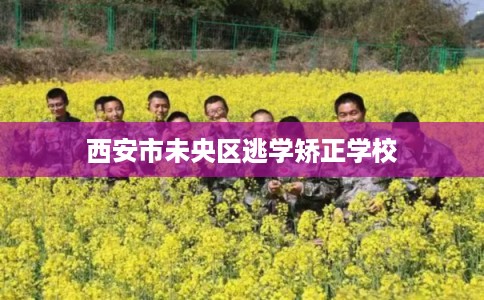 西安市未央区逃学矫正学校