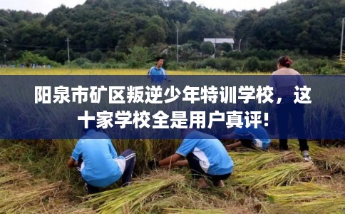 阳泉市矿区叛逆少年特训学校，这十家学校全是用户真评!