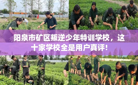 阳泉市矿区叛逆少年特训学校，这十家学校全是用户真评!