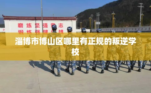 淄博市博山区哪里有正规的叛逆学校 淄博市博山区哪里有正规的叛逆学校