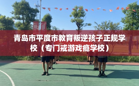 青岛市平度市教育叛逆孩子正规学校(专门戒游戏瘾学校) 青岛市平度市教育叛逆孩子正规学校(专门戒游戏瘾学校)