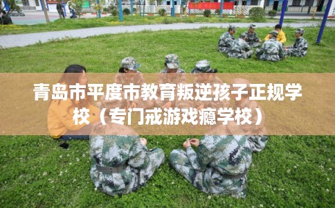 青岛市平度市教育叛逆孩子正规学校(专门戒游戏瘾学校) 青岛市平度市教育叛逆孩子正规学校(专门戒游戏瘾学校)