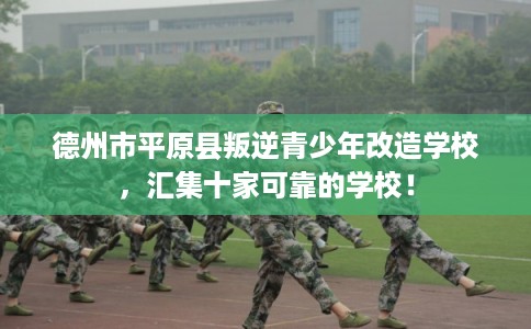 德州市平原县叛逆青少年改造学校,汇集十家可靠的学校! 德州市平原县叛逆青少年改造学校,汇集十家可靠的学校!
