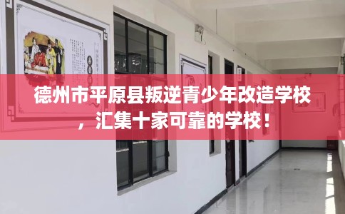 德州市平原县叛逆青少年改造学校,汇集十家可靠的学校! 德州市平原县叛逆青少年改造学校,汇集十家可靠的学校!
