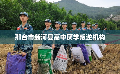 邢台市新河县高中厌学叛逆机构