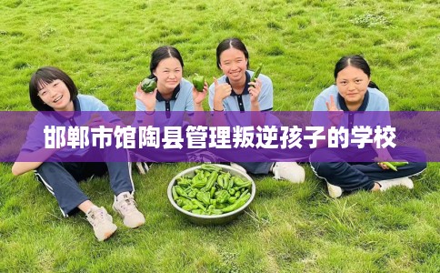 邯郸市馆陶县管理叛逆孩子的学校 邯郸市馆陶县管理叛逆孩子的学校