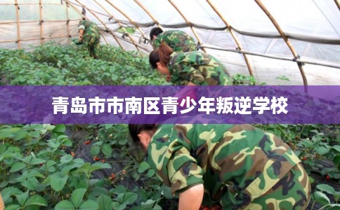 青岛市市南区青少年叛逆学校 青岛市市南区青少年叛逆学校