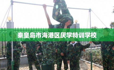 秦皇岛市海港区厌学特训学校
