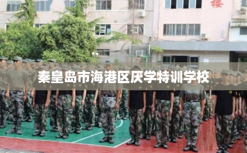 秦皇岛市海港区厌学特训学校