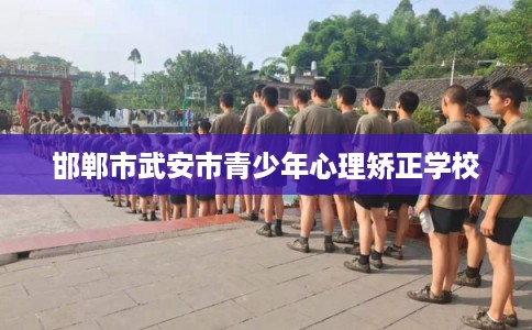 邯郸市武安市青少年心理矫正学校