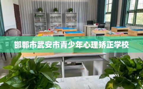 邯郸市武安市青少年心理矫正学校