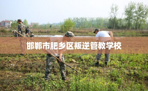 邯郸市肥乡区叛逆管教学校 邯郸市肥乡区叛逆管教学校