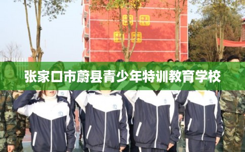 张家口市蔚县青少年特训教育学校 张家口市蔚县青少年特训教育学校
