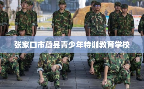 张家口市蔚县青少年特训教育学校 张家口市蔚县青少年特训教育学校