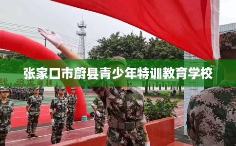 张家口市蔚县青少年特训教育学校 张家口市蔚县青少年特训教育学校