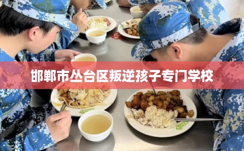 邯郸市丛台区叛逆孩子专门学校 邯郸市丛台区叛逆孩子专门学校