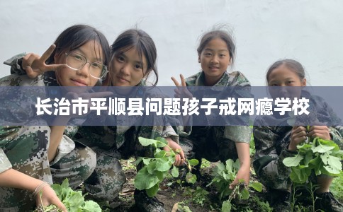 长治市平顺县问题孩子戒网瘾学校 长治市平顺县问题孩子戒网瘾学校