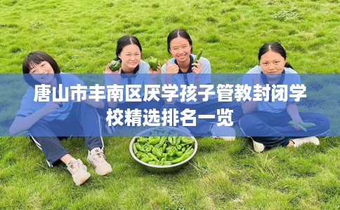 唐山市丰南区厌学孩子管教封闭学校精选排名一览 唐山市丰南区厌学孩子管教封闭学校精选排名一览