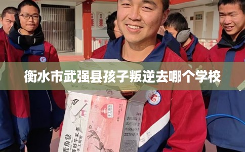 衡水市武强县孩子叛逆去哪个学校