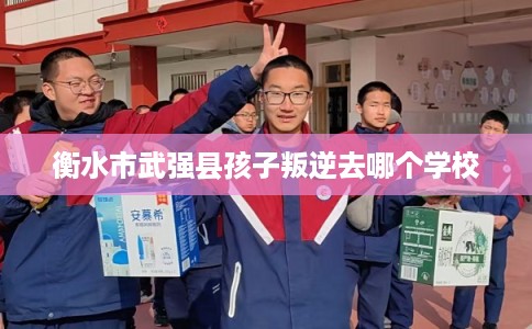 衡水市武强县孩子叛逆去哪个学校