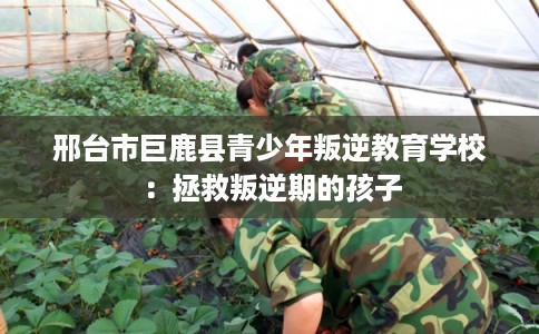 邢台市巨鹿县青少年叛逆教育学校:拯救叛逆期的孩子 邢台市巨鹿县青少年叛逆教育学校:拯救叛逆期的孩子