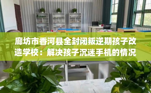 廊坊市香河县全封闭叛逆期孩子改造学校:解决孩子沉迷手机的情况 廊坊市香河县全封闭叛逆期孩子改造学校:解决孩子沉迷手机的情况