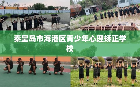 秦皇岛市海港区青少年心理矫正学校