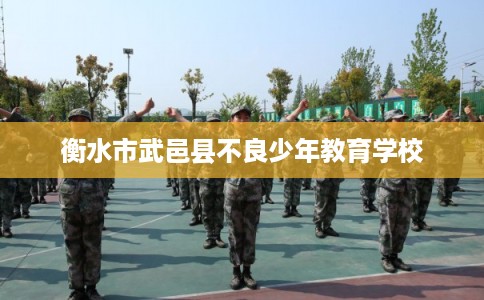 衡水市武邑县不良少年教育学校 衡水市武邑县不良少年教育学校