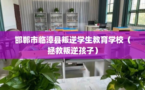 邯郸市临漳县叛逆学生教育学校(拯救叛逆孩子) 邯郸市临漳县叛逆学生教育学校(拯救叛逆孩子)