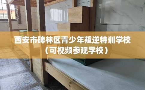 西安市碑林区青少年叛逆特训学校（可视频参观学校）
