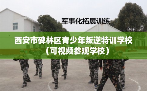 西安市碑林区青少年叛逆特训学校（可视频参观学校）