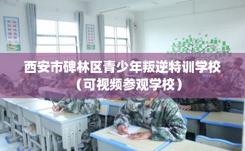 西安市碑林区青少年叛逆特训学校（可视频参观学校）