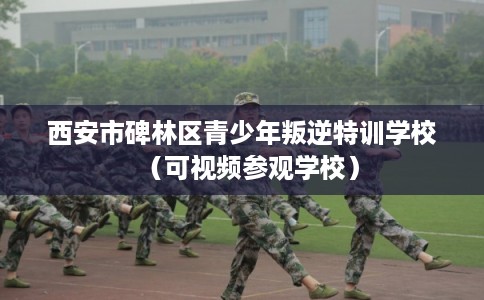 西安市碑林区青少年叛逆特训学校（可视频参观学校）