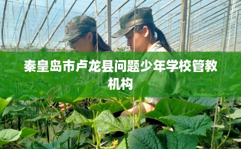 秦皇岛市卢龙县问题少年学校管教机构 秦皇岛市卢龙县问题少年学校管教机构