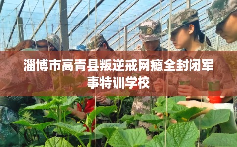 淄博市高青县叛逆戒网瘾全封闭军事特训学校