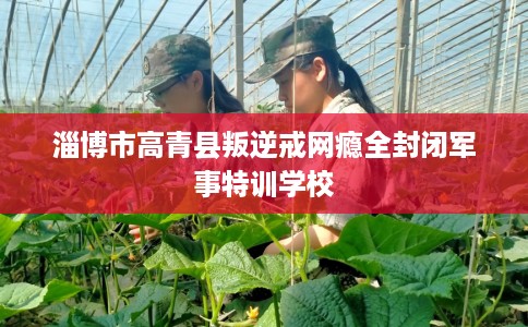 淄博市高青县叛逆戒网瘾全封闭军事特训学校