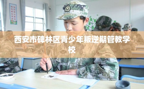 西安市碑林区青少年叛逆期管教学校 西安市碑林区青少年叛逆期管教学校