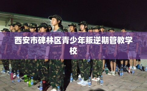西安市碑林区青少年叛逆期管教学校 西安市碑林区青少年叛逆期管教学校