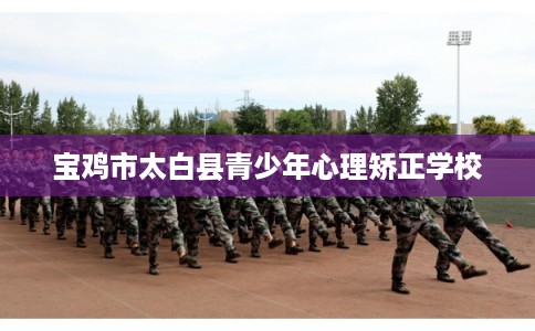 宝鸡市太白县青少年心理矫正学校