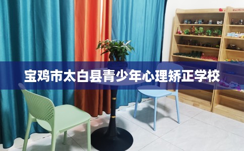 宝鸡市太白县青少年心理矫正学校