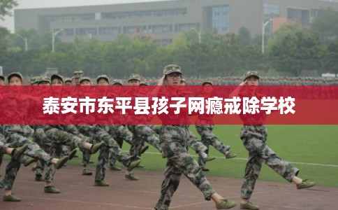 泰安市东平县孩子网瘾戒除学校 泰安市东平县孩子网瘾戒除学校