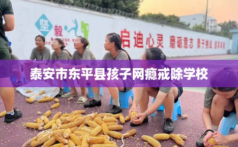 泰安市东平县孩子网瘾戒除学校 泰安市东平县孩子网瘾戒除学校