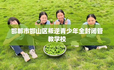 邯郸市邯山区叛逆青少年全封闭管教学校 邯郸市邯山区叛逆青少年全封闭管教学校