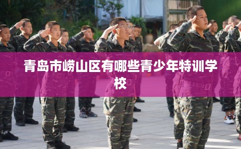 青岛市崂山区有哪些青少年特训学校