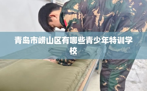 青岛市崂山区有哪些青少年特训学校
