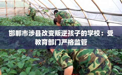 邯郸市涉县改变叛逆孩子的学校：受教育部门严格监管
