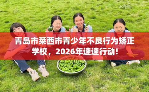 青岛市莱西市青少年不良行为矫正学校，2026年速速行动!