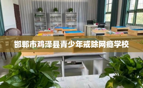 邯郸市鸡泽县青少年戒除网瘾学校 邯郸市鸡泽县青少年戒除网瘾学校